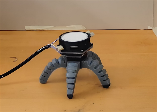 真菌与计算机组合机器人问世:光照刺激移动 可协助检测辐射