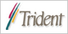 Trident泰鼎